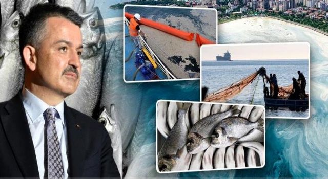 Bakan Pakdemirli; “Marmara Denizi'nden Çıkan Balıkların Yenilmesi Ve Tüketilmesiyle Alakalı Herhangi Bir Problem Yok