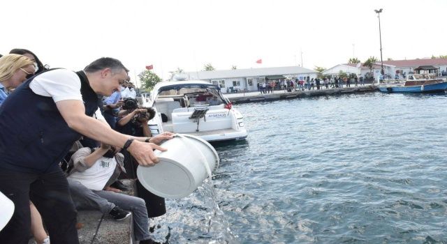 Bakan Pakdemirli’den Tuz Gölündeki Flamingo Ölümleriyle İlgili Açıklama