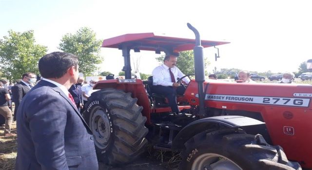 Bakan Yardımcısı Metin, kullandığı traktör ile Taşköprü sarımsağının hasadını başlattı