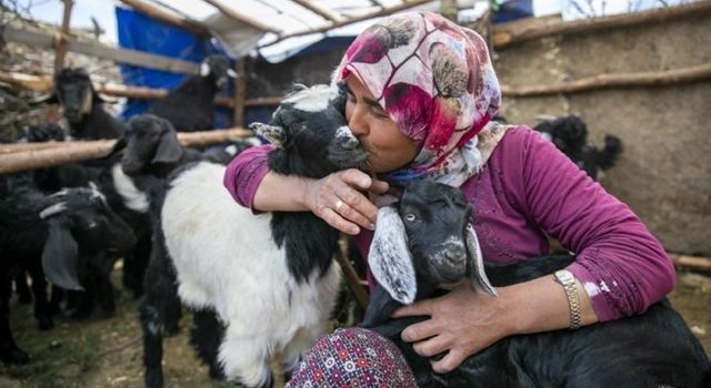 “Haydi Gel Köyümüze Destek Verelim” Projesi Yeni Doğumlarla Bereketleniyor