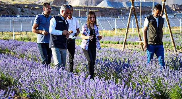 Kadın Çiftçi Kurduğu Lavanta Bahçesiyle Kendi Markasını Oluşturmayı Hedefliyor