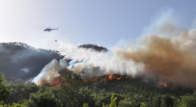 Orman Yangını İle Karşılaşınca Yapmamız Gerekenler