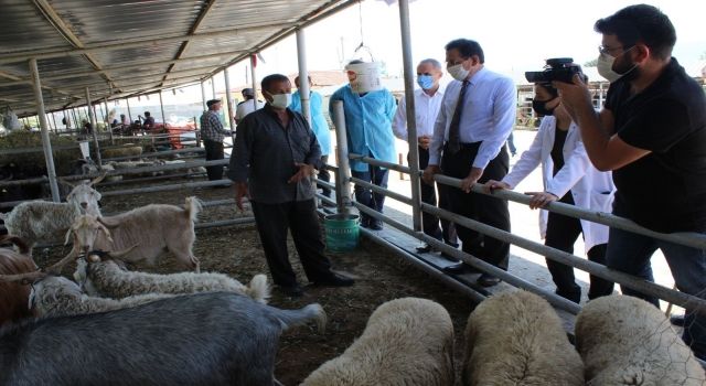 Vali Ümit ve İl Müdüründen Kurban Pazarına Ziyaret