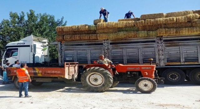 Bodrum Belediyesi Yangın Mağdurlarına Destek Olmaya Devam Ediyor