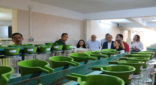 Daire Başkanı Kanyılmaz Gölköy Su Ürünleri Üretim İstasyonunda incelemelerde bulundu