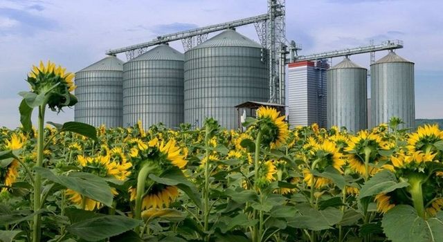 Hasat başladı ama alım fiyatı hâlâ açıklanmadı