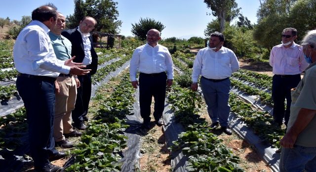 KOP Destekli Kalkınma Projeleri Yerinde İncelendi