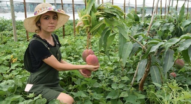 Maliye mezunu gençten ilk hasat