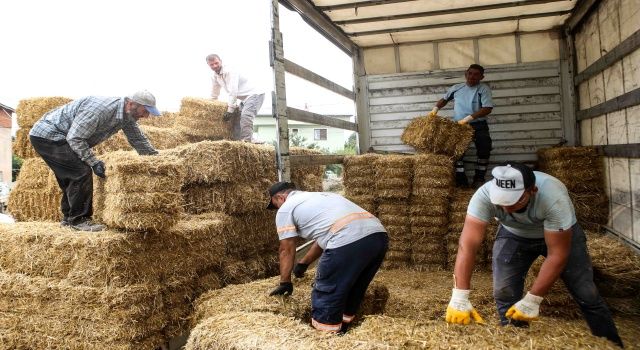 Nilüferli çiftçilerden Manavgat’a anlamlı yardım