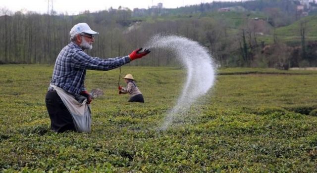 Tarım Bakanının yapamadığını Ticaret Bakanı yaptı! İndirim geldi