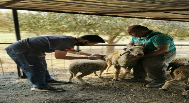 TVHB Merkez Konseyi “Afetlerde her kurum yasal olarak üzerine düşeni yapmalıdır”