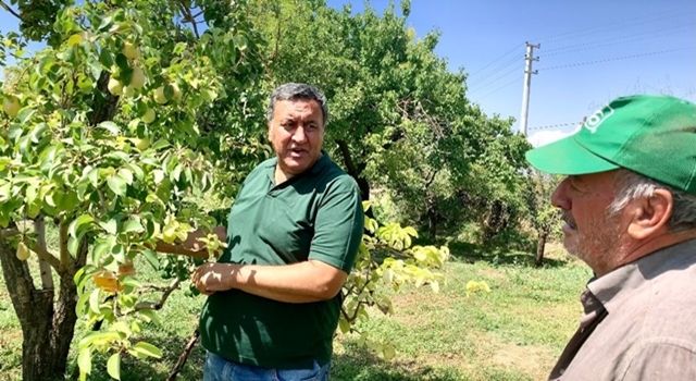 Gürer: “Bahçelerin kabusu Akdeniz sineği”