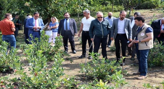 İl Müdürü Parıldar İl Genel Meclisi Üyelerine Meyvecilik Projelerini Gezdirdi