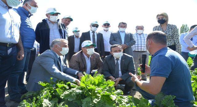 Kayseri Şeker’de Tarla Günleri Başladı