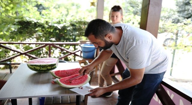 Kent Bostanları’nda tohum alma zamanı