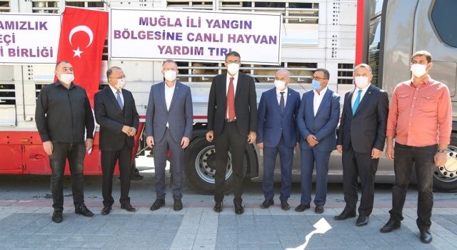 Kütahyalılardan yangın mağduru Muğla’ya hayvan desteği