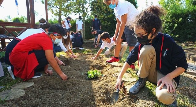 Nilüfer Belediyesi’nden okullara fide ve tohum desteği