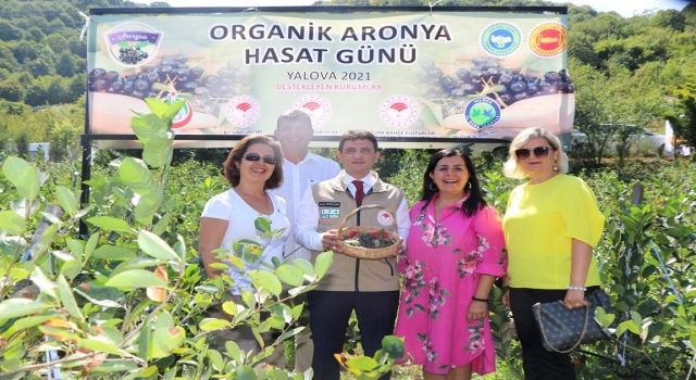 Şenköy’de İlk Organik Aronya Hasadı Tarla Günü Yapıldı