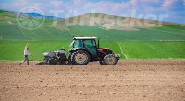 Türkşeker’den Çiftçilere 650 Milyon TL Destek!