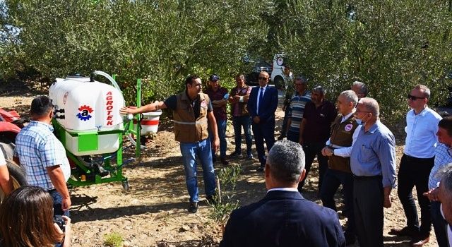 Zeytin Sineğine Karşı Doğa Dostu Mücadele Yöntemi