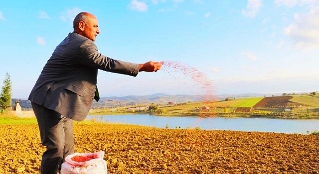 300 Çiftçiye 30 Ton Buğday Tohum Desteği