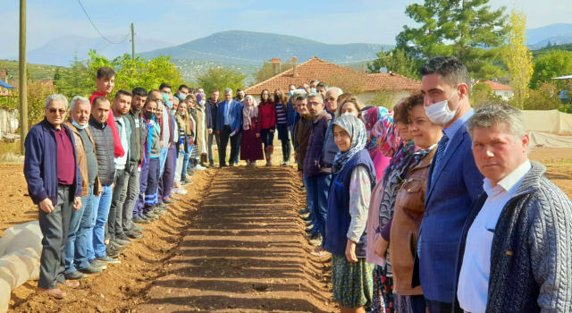 Denizli Kekiği Barza Toprakları İle Buluşuyor