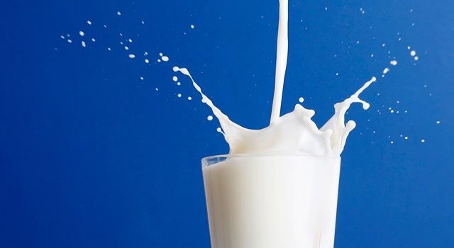 Toplanan İnek Sütü Miktarı Yüzde 2,1 Arttı