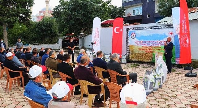 Yüzde 75 Hibeli Yem Bitkileri Tohumu Dağıtıldı