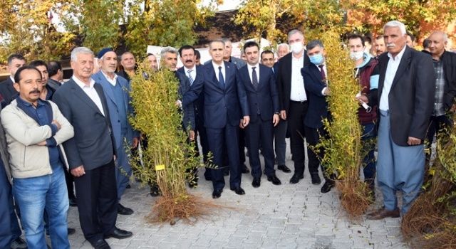 Adıyaman’ın Tarımsal Üretim Deseni Zenginleşiyor