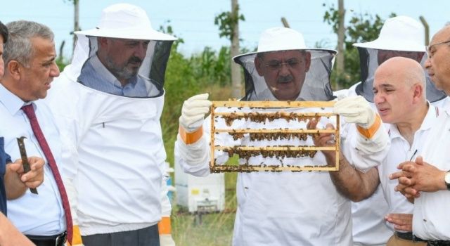 Arıcılık Ekonomisine Büyükşehir Desteği