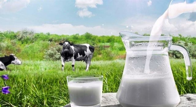 Bolu’lu Üreticilere 4,7 Milyon Lira Süt Desteği