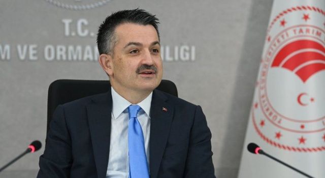 Doğu Anadolu Bölgesi Hayvancılığımızın Lokomotif Bölgesi