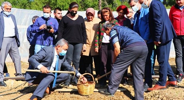 İl Müdürü Özen "Salep Üretimini İzmir'de Yaygınlaştırıyoruz"