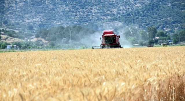 Rusya’nın vergi hamlesi buğday fiyatlarını uçurdu