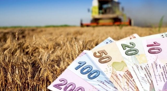 SON DAKİKA | Çiftçiye dev destek ödemesi geliyor! 2022 için detaylar netleşti