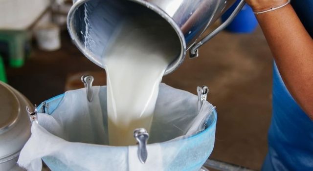 Süt Sektörü Sıkıntı İçinde