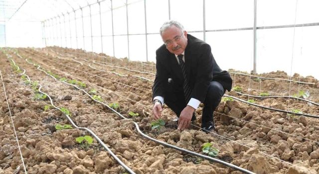 Tarım Projesi 72 Milyon Lira Kazandırdı