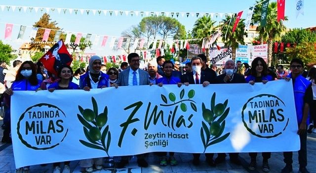 Uluslararası Coğrafi İşarete Sahip İlk Ve Tek Türk Zeytinyağı