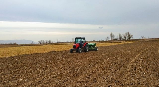 Yüzde 50 Hibeli 152 Ton Buğday Tohumu Dağıtıldı