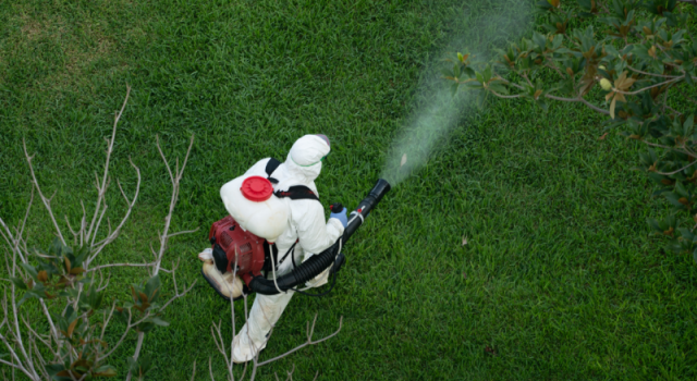 75 kurum Zehirsiz Kentler için harekete geçti