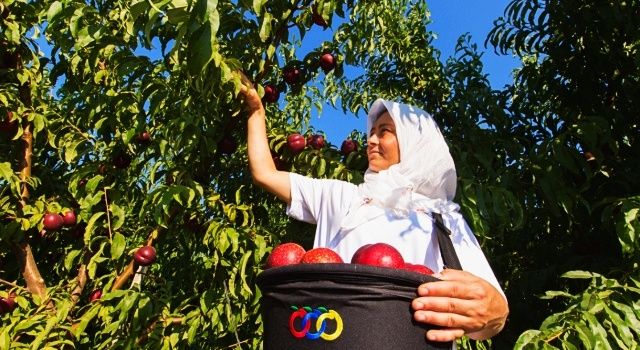 Anadolu Etap Üçüncü Sürdürülebilirlik Raporunu Yayınladı