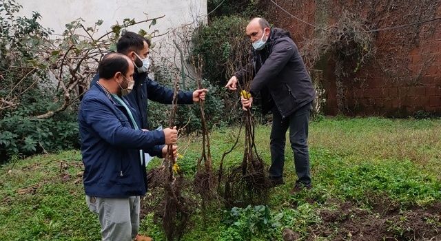 Çiftçiler Sertifikalı ve Kaliteli Meyve Fidanları İle Buluştu…