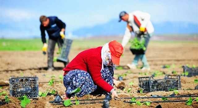 Çiftçilerimizin artan Tarım BAĞ-KUR Primlerini ödemesi imkânsızdır