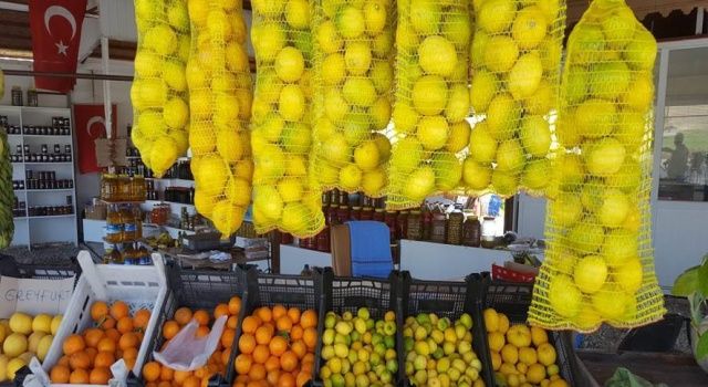 FAO ve Antalya Tarım Konseyi, 2021 Uluslararası Meyve ve Sebze Yılı'nı (IYFV) mercek altına alıyor