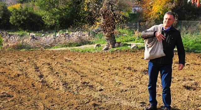 Hatay Büyükşehirden Üretime Destek Hasada Bereket