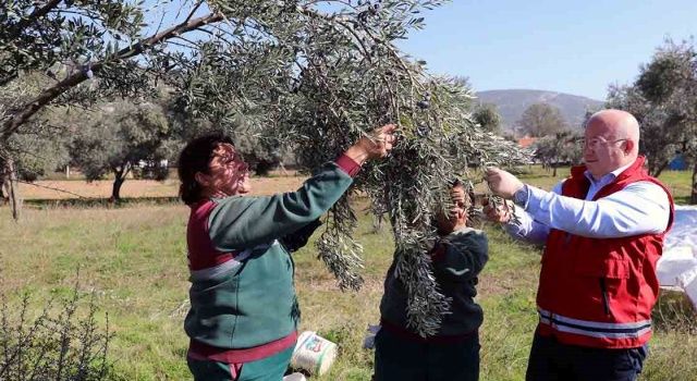 Menteşe’nin Yeni Yıl Ajandasında Tarımsal Üretim Var