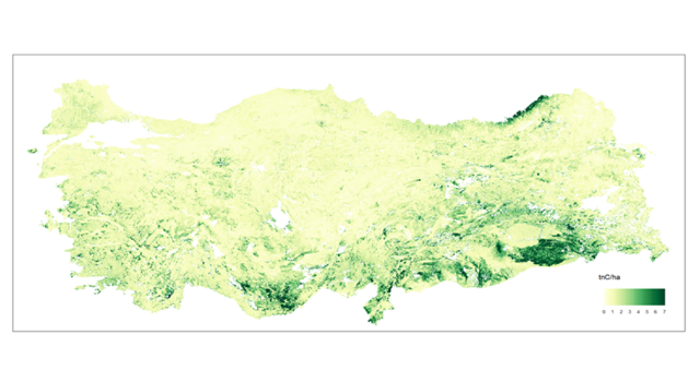 Sakarya Havzasının Karbon Depolama Haritası Çıkarıldı