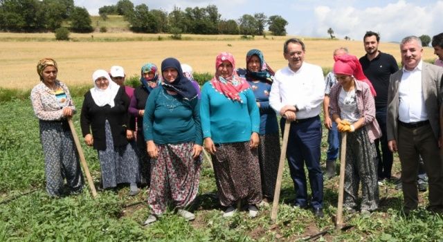 Tarım Projeleri Türkiye’ye Örnek Oldu