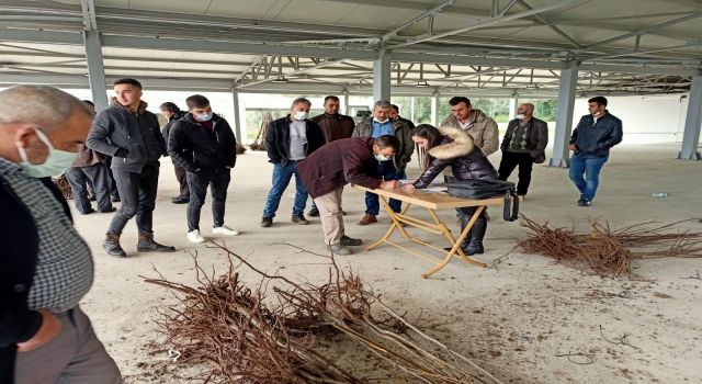 Tireli Üreticiler Yepyeni Bir Kestane Çeşidi ile Tanışıyor “Bouche de Betizac”