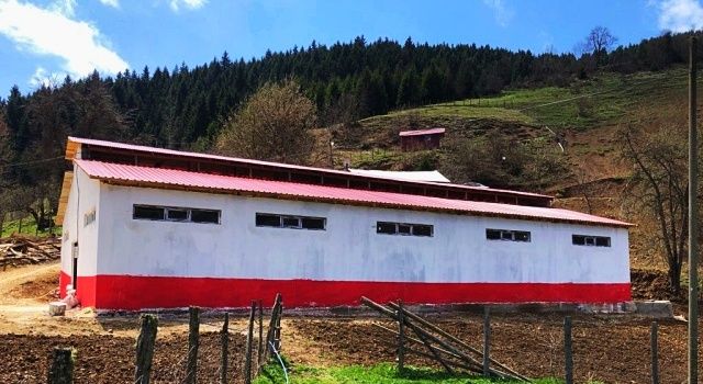 Giresun’da Hayvancılık Yatırımlarına Hibe Desteği Verildi